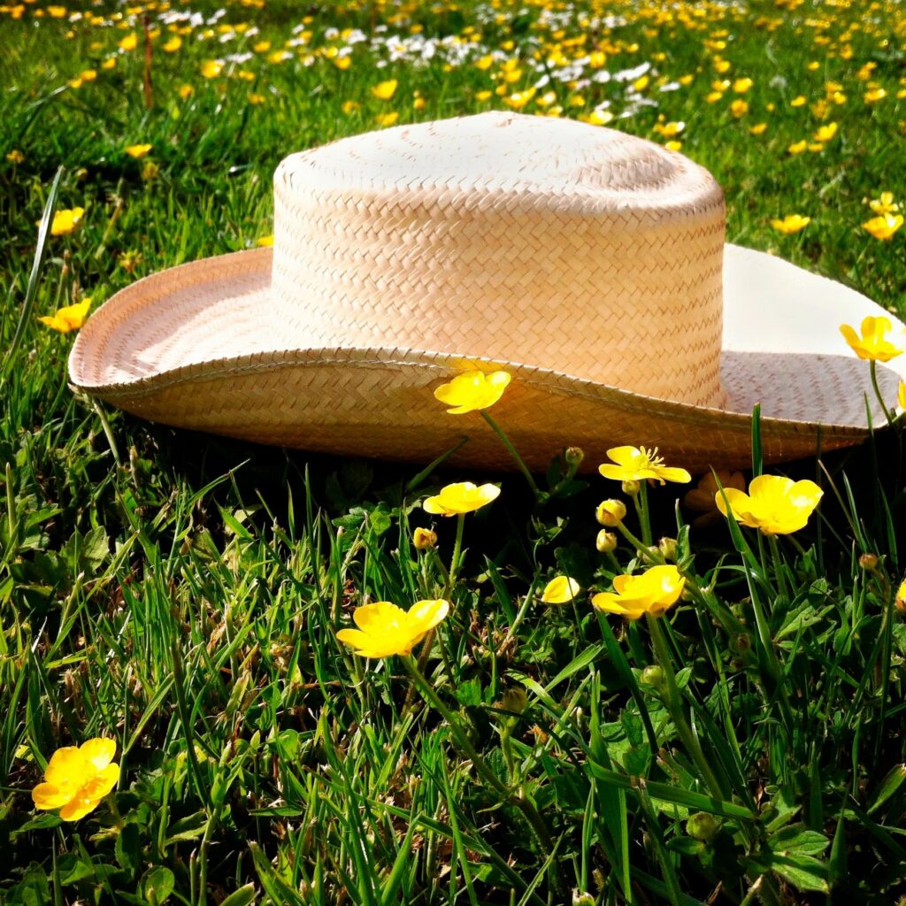 Straw Hat