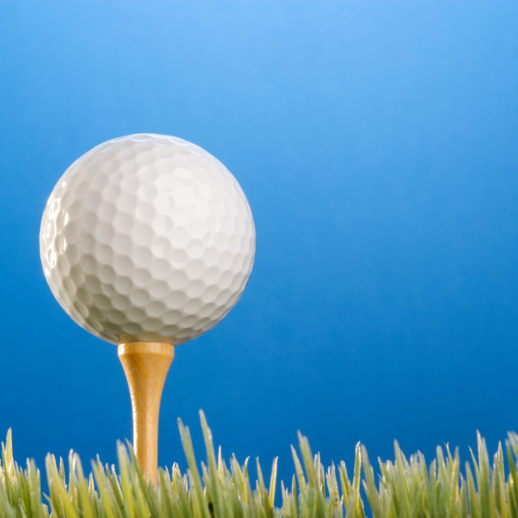 Golfball on a tee in grass.